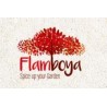 FLAMBOYA