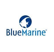 BLUE MARINE